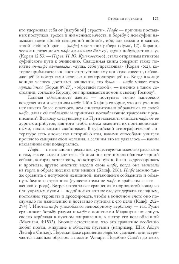 Аннемари Шиммель - Мир исламского мистицизма - Страница № 121