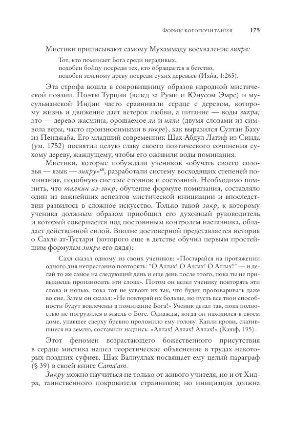 Аннемари Шиммель - Мир исламского мистицизма - Страница № 175