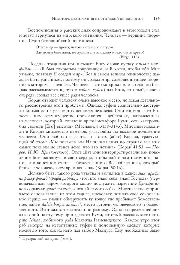 Аннемари Шиммель - Мир исламского мистицизма - Страница № 195