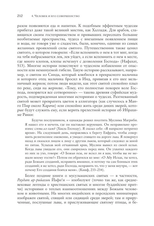 Аннемари Шиммель - Мир исламского мистицизма - Страница № 212