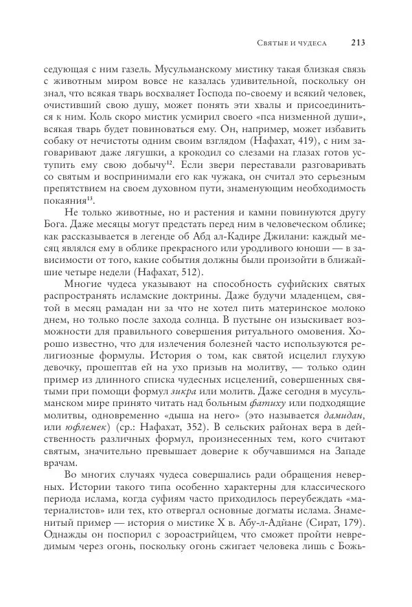 Аннемари Шиммель - Мир исламского мистицизма - Страница № 213