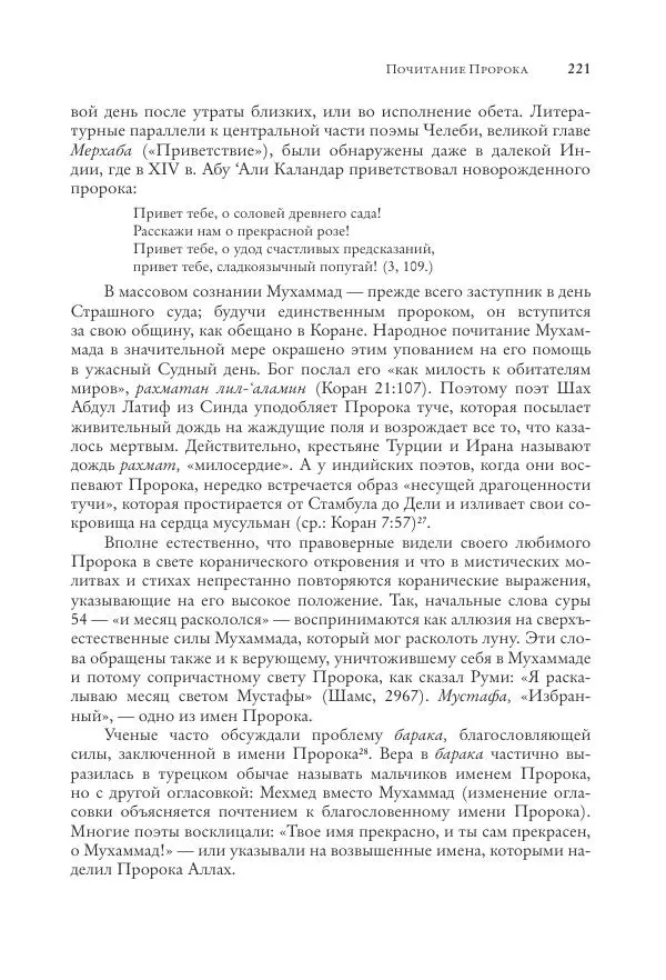 Аннемари Шиммель - Мир исламского мистицизма - Страница № 221