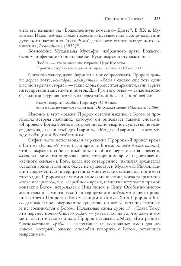 Аннемари Шиммель - Мир исламского мистицизма - Страница № 223