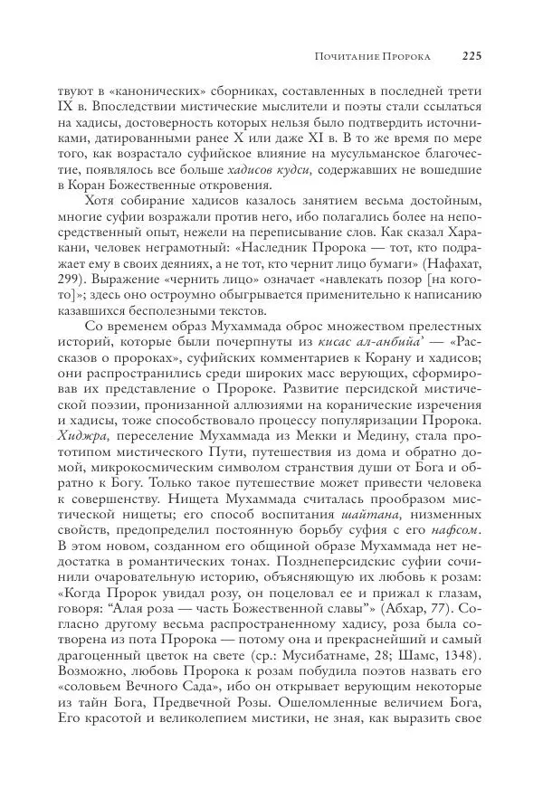 Аннемари Шиммель - Мир исламского мистицизма - Страница № 225