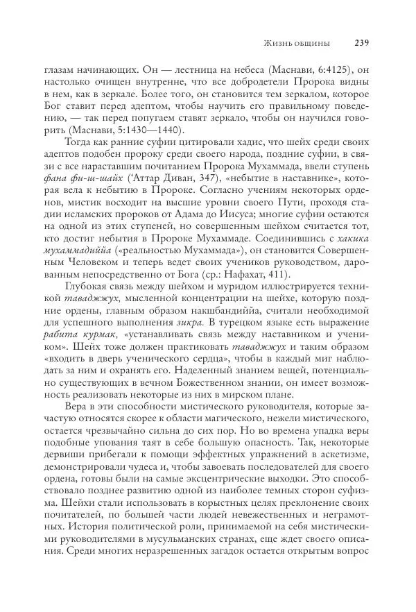 Аннемари Шиммель - Мир исламского мистицизма - Страница № 239