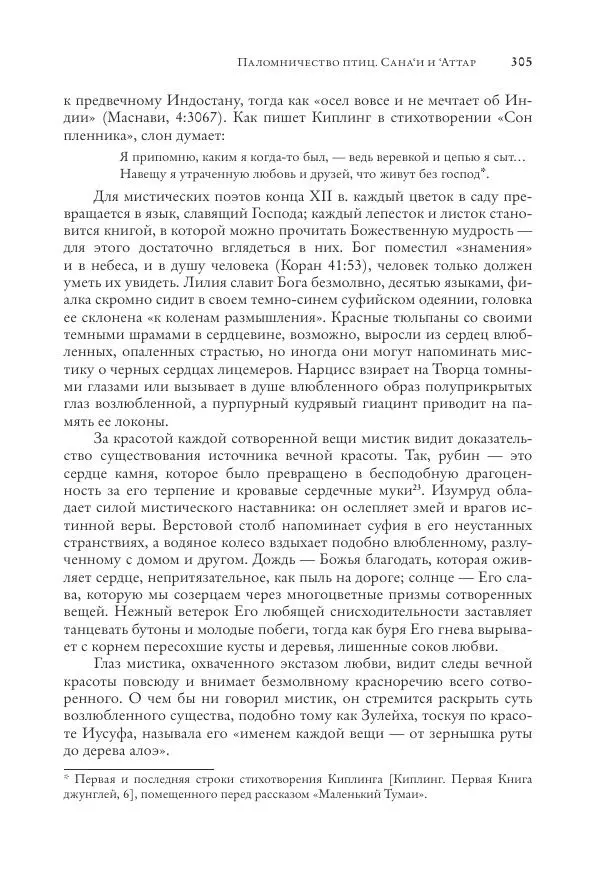 Аннемари Шиммель - Мир исламского мистицизма - Страница № 305