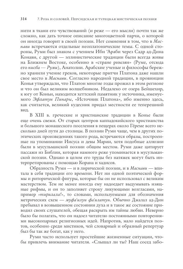 Аннемари Шиммель - Мир исламского мистицизма - Страница № 314