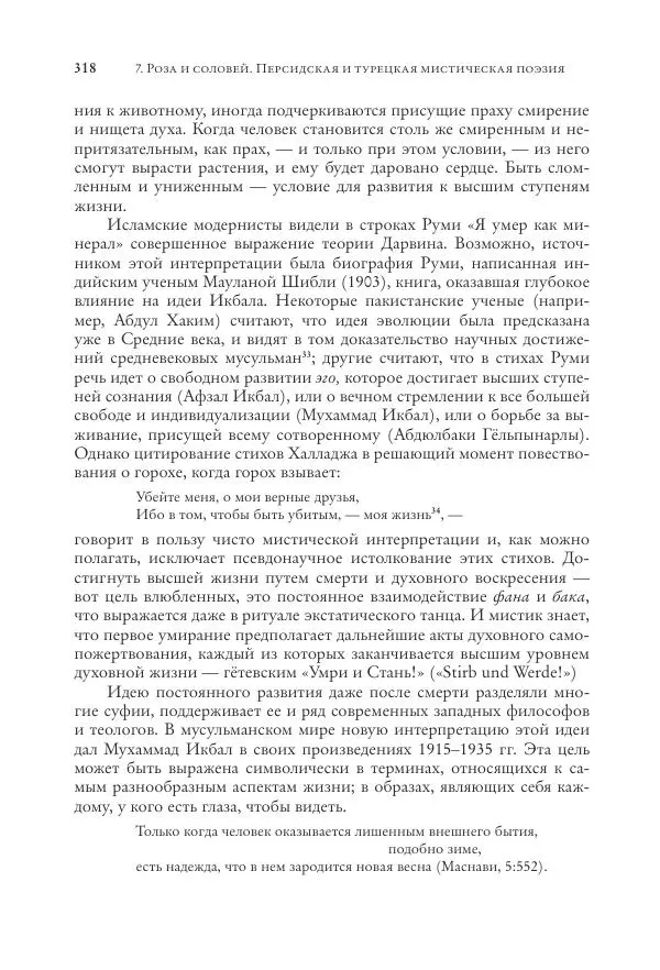 Аннемари Шиммель - Мир исламского мистицизма - Страница № 318