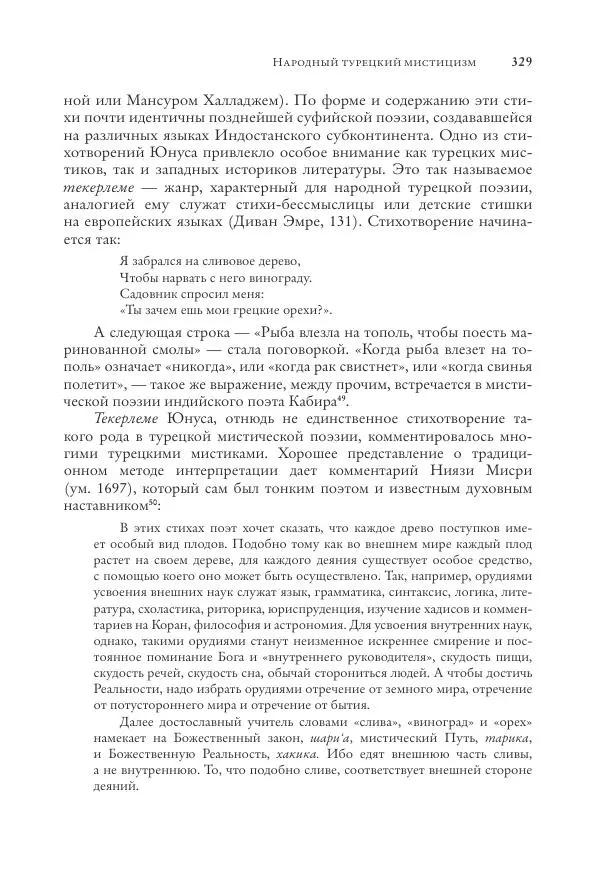 Аннемари Шиммель - Мир исламского мистицизма - Страница № 329