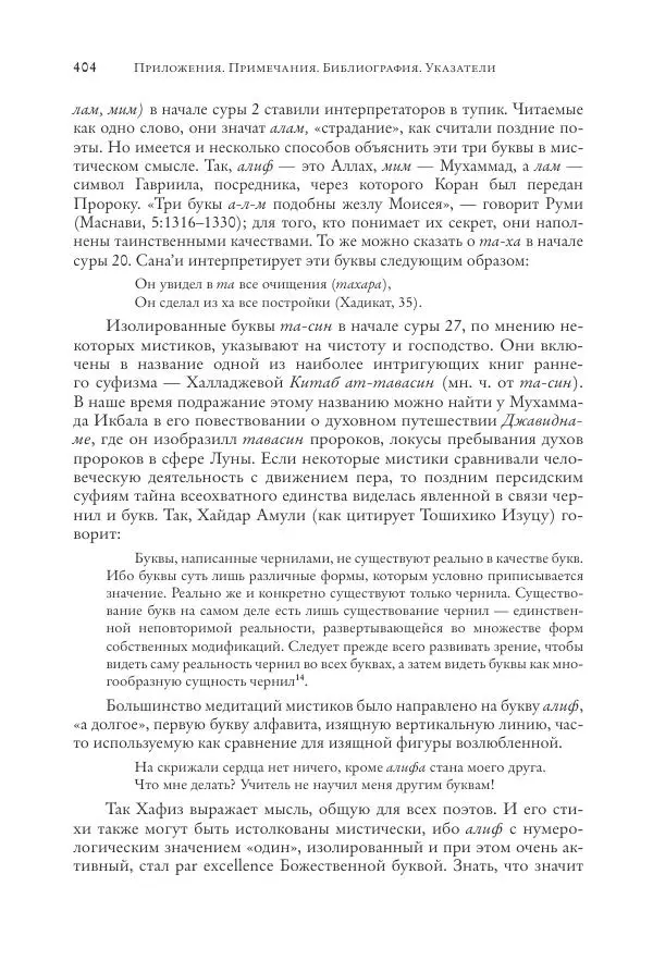 Аннемари Шиммель - Мир исламского мистицизма - Страница № 404