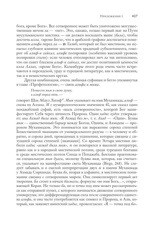 Аннемари Шиммель - Мир исламского мистицизма - Страница № 407