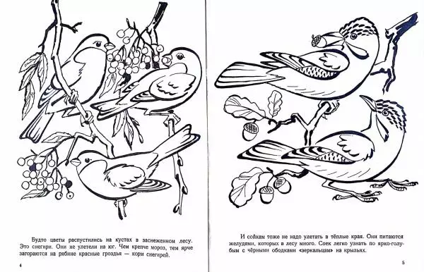 Виктор Максимов - Кто зимует с нами - Страница № 3