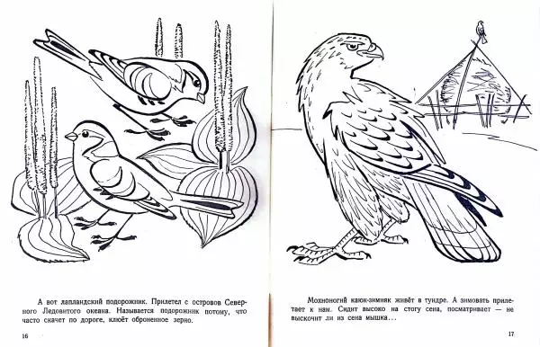 Виктор Максимов - Кто зимует с нами - Страница № 9