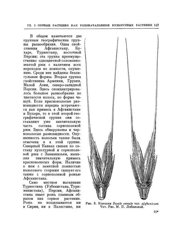Николай Вавилов - Избранные произведения в двух томах. Том I - Страница № 153