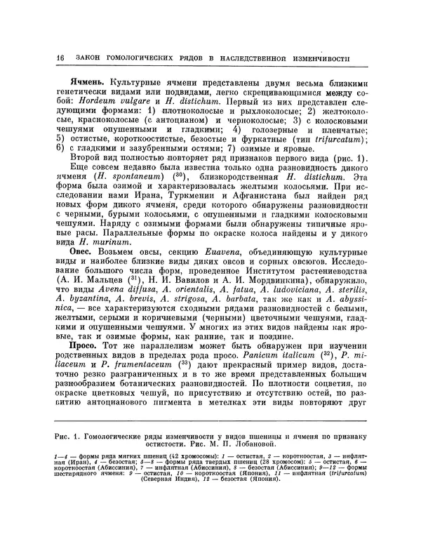 Николай Вавилов - Избранные произведения в двух томах. Том I - Страница № 16