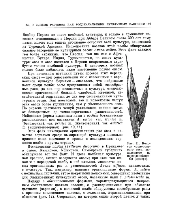 Николай Вавилов - Избранные произведения в двух томах. Том I - Страница № 165