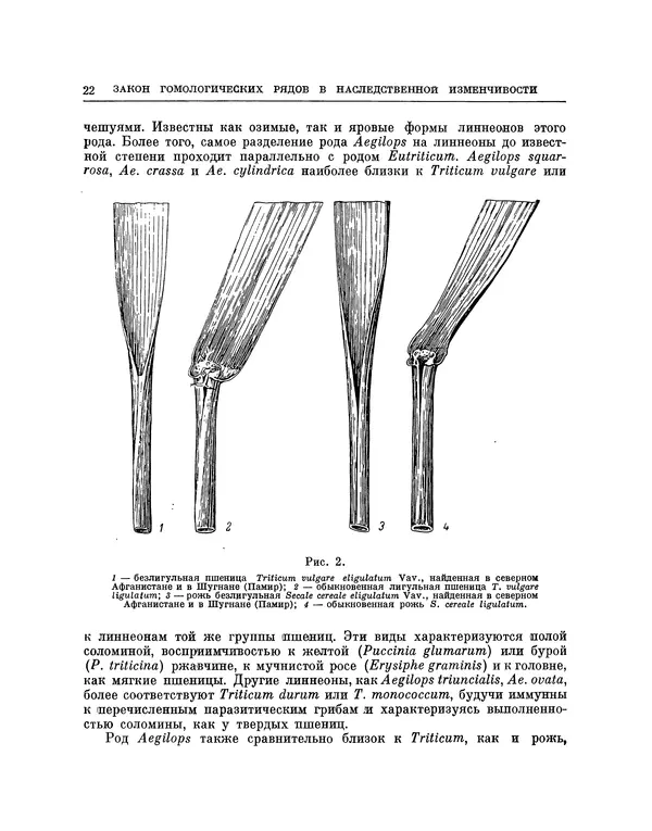 Николай Вавилов - Избранные произведения в двух томах. Том I - Страница № 22