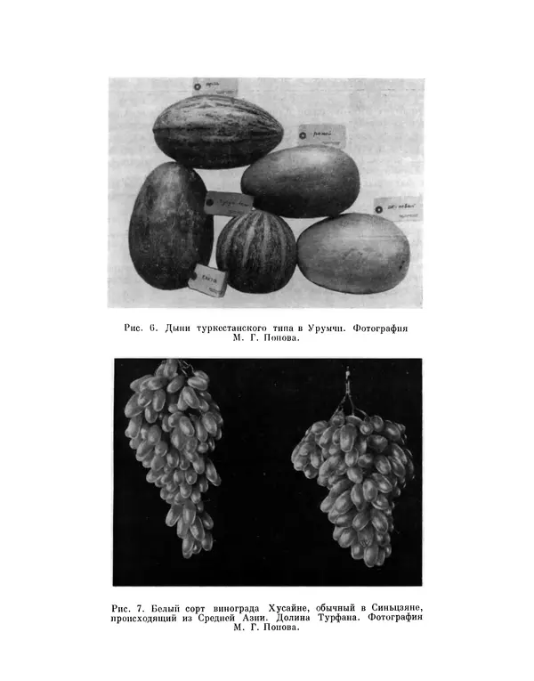 Николай Вавилов - Избранные произведения в двух томах. Том I - Страница № 220