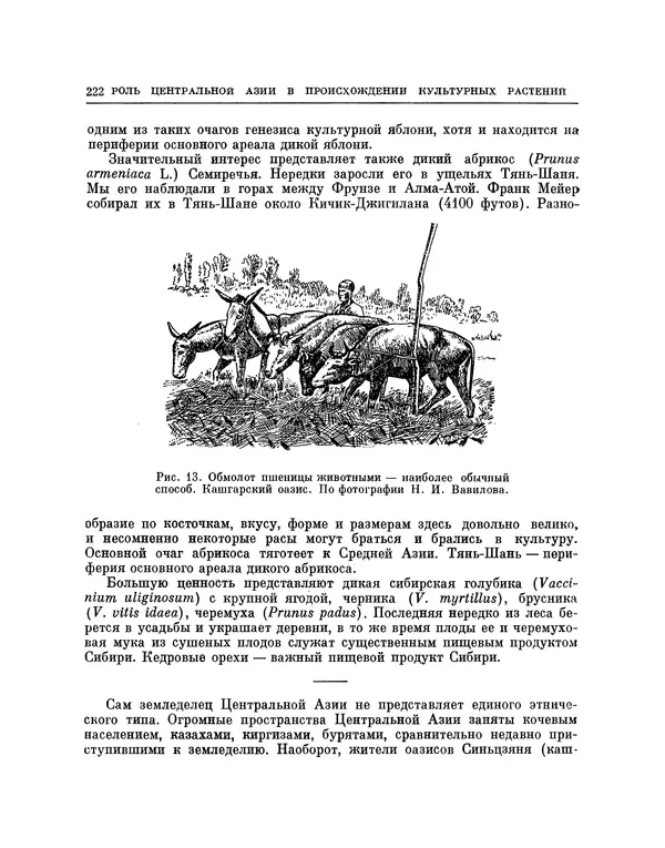 Николай Вавилов - Избранные произведения в двух томах. Том I - Страница № 229