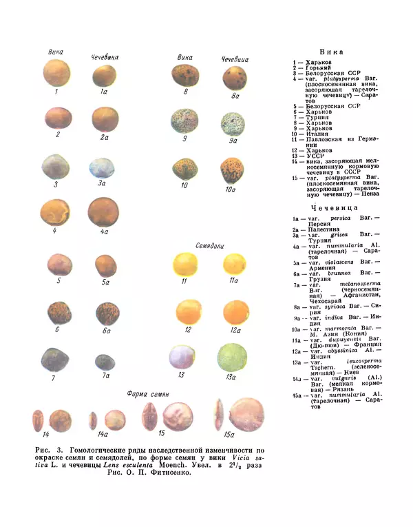 Николай Вавилов - Избранные произведения в двух томах. Том I - Страница № 25