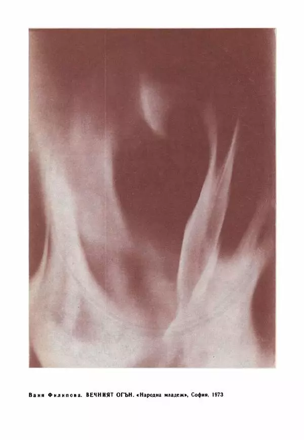 Дора Габе - Повести и рассказы о Георгии Димитрове - Страница № 139