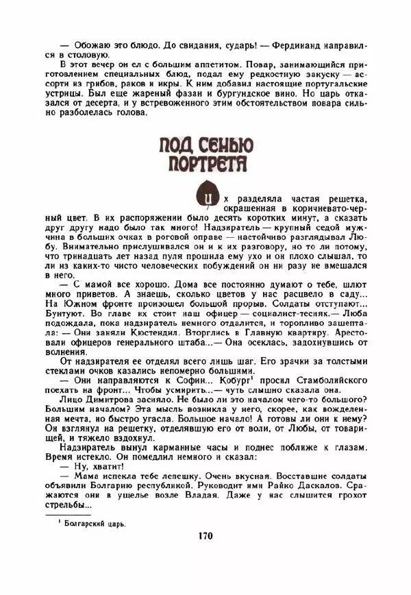 Дора Габе - Повести и рассказы о Георгии Димитрове - Страница № 175