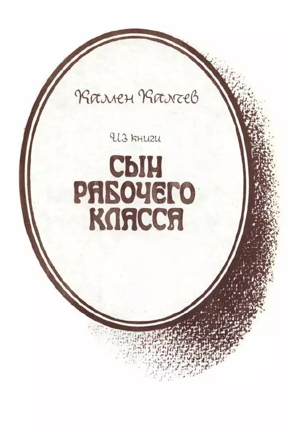 Дора Габе - Повести и рассказы о Георгии Димитрове - Страница № 312