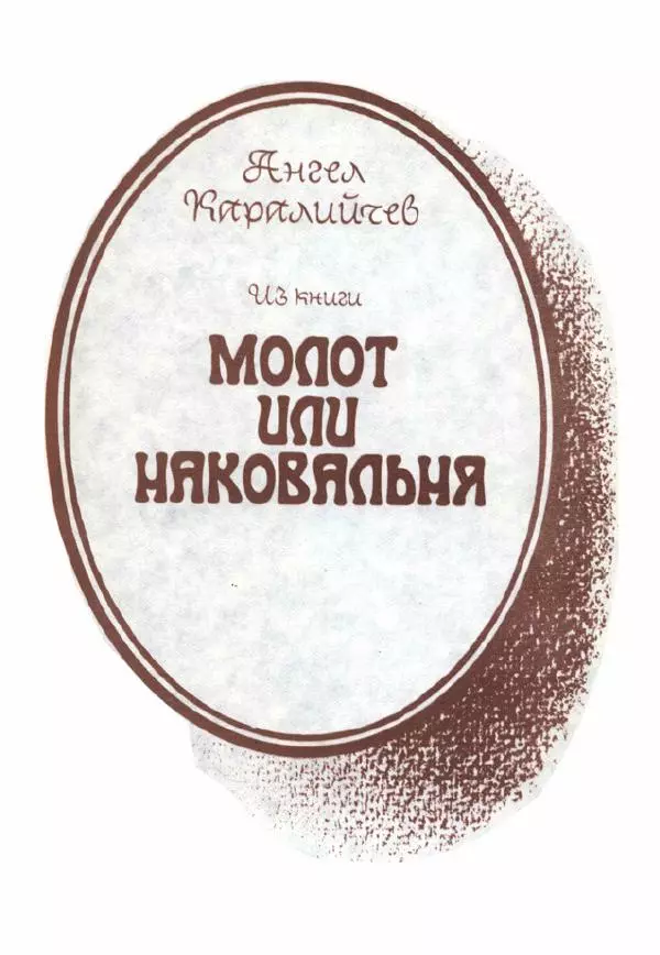 Дора Габе - Повести и рассказы о Георгии Димитрове - Страница № 338