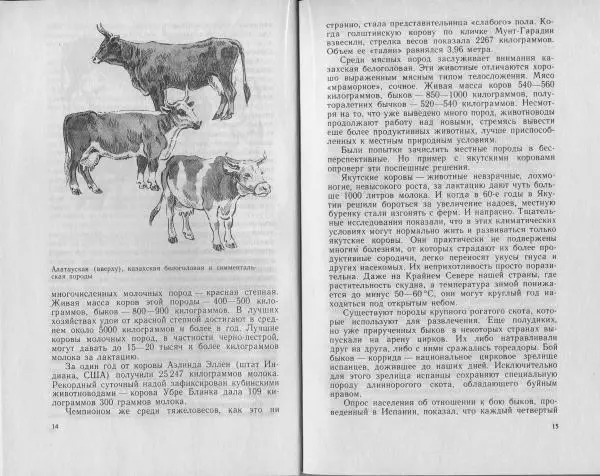 Владимир Гершун - Беседы о домашних животных - Страница № 8