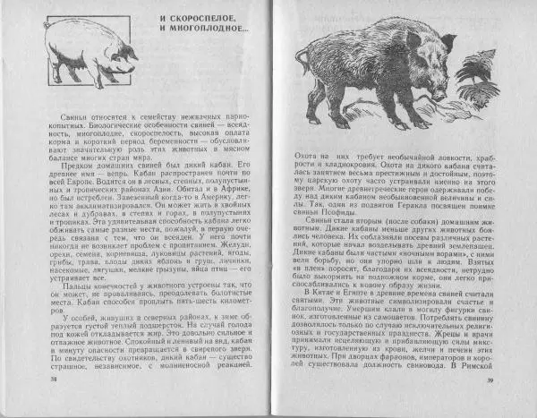 Владимир Гершун - Беседы о домашних животных - Страница № 20