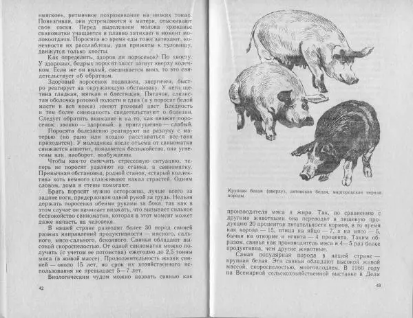 Владимир Гершун - Беседы о домашних животных - Страница № 22