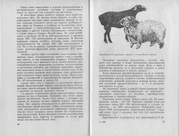 Владимир Гершун - Беседы о домашних животных - Страница № 33