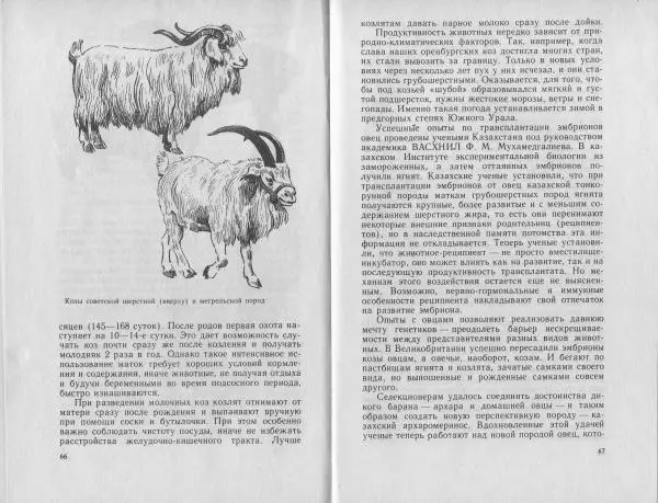 Владимир Гершун - Беседы о домашних животных - Страница № 34
