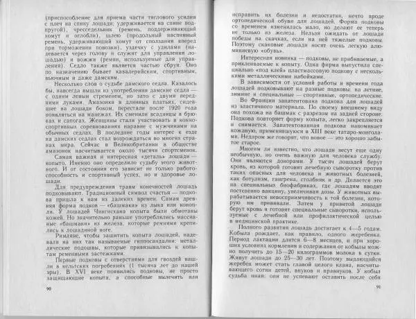 Владимир Гершун - Беседы о домашних животных - Страница № 46