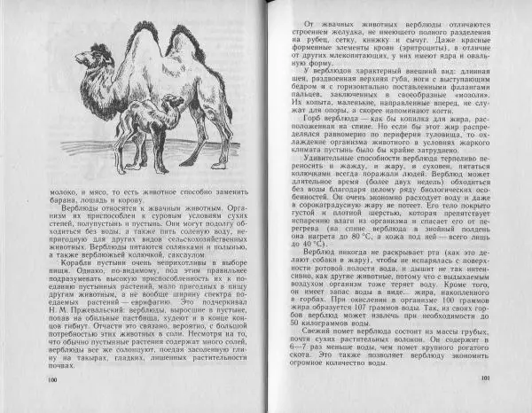 Владимир Гершун - Беседы о домашних животных - Страница № 51
