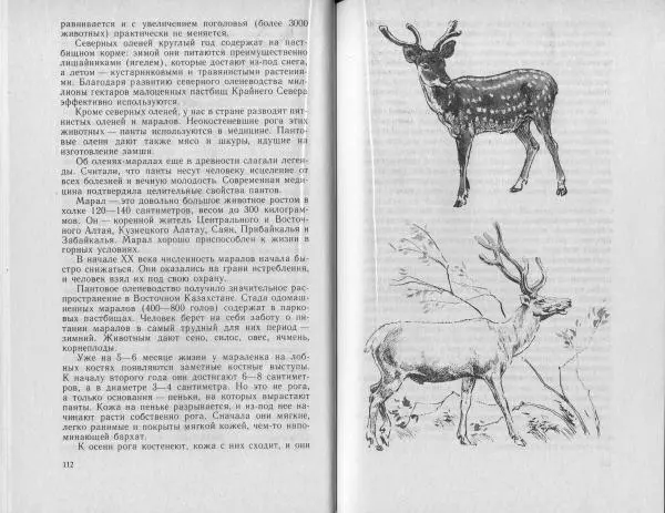 Владимир Гершун - Беседы о домашних животных - Страница № 57