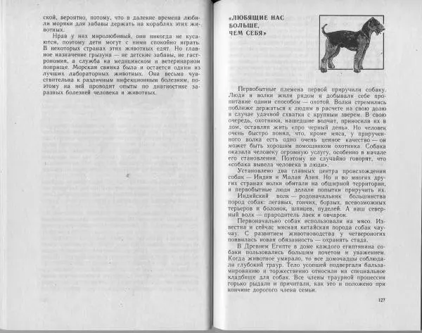 Владимир Гершун - Беседы о домашних животных - Страница № 64