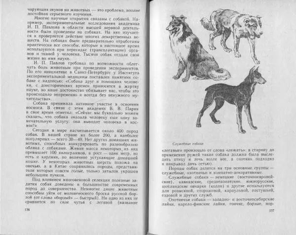 Владимир Гершун - Беседы о домашних животных - Страница № 69