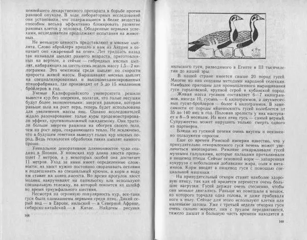 Владимир Гершун - Беседы о домашних животных - Страница № 85