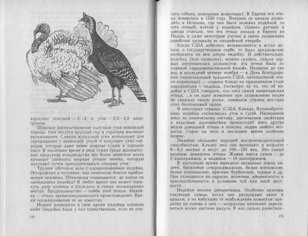 Владимир Гершун - Беседы о домашних животных - Страница № 87