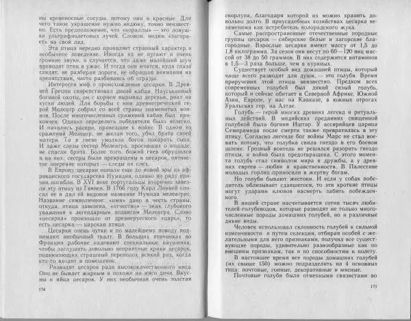 Владимир Гершун - Беседы о домашних животных - Страница № 88