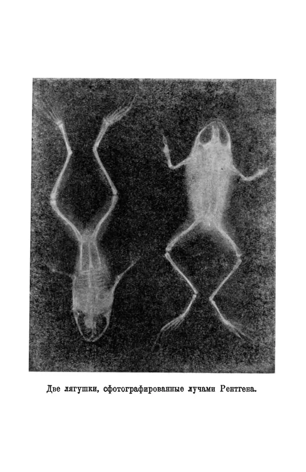 Матвей Бронштейн - Лучи икс - Страница № 39