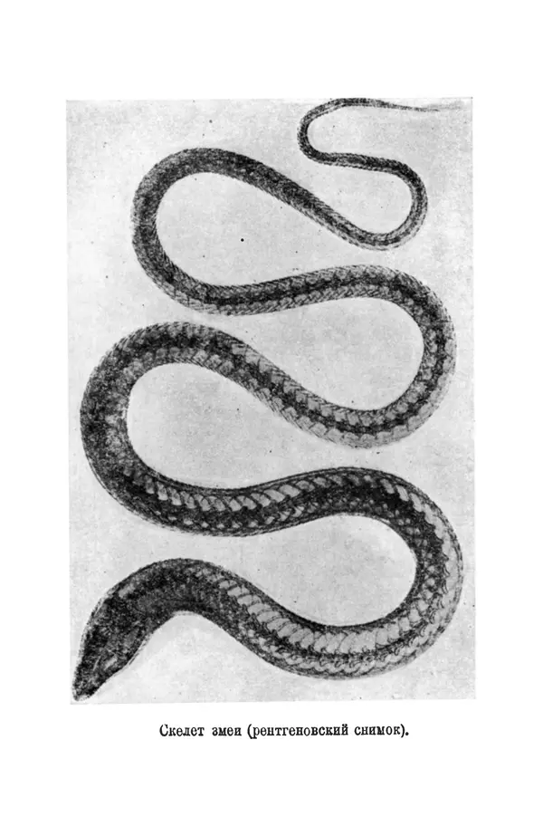 Матвей Бронштейн - Лучи икс - Страница № 50