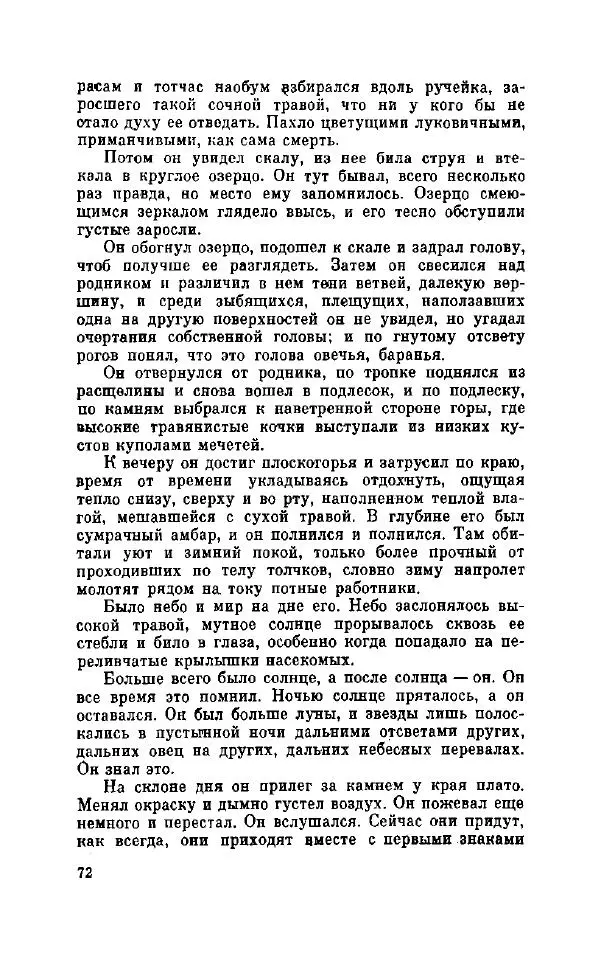 Петер Себерг - Пастыри - Страница № 77
