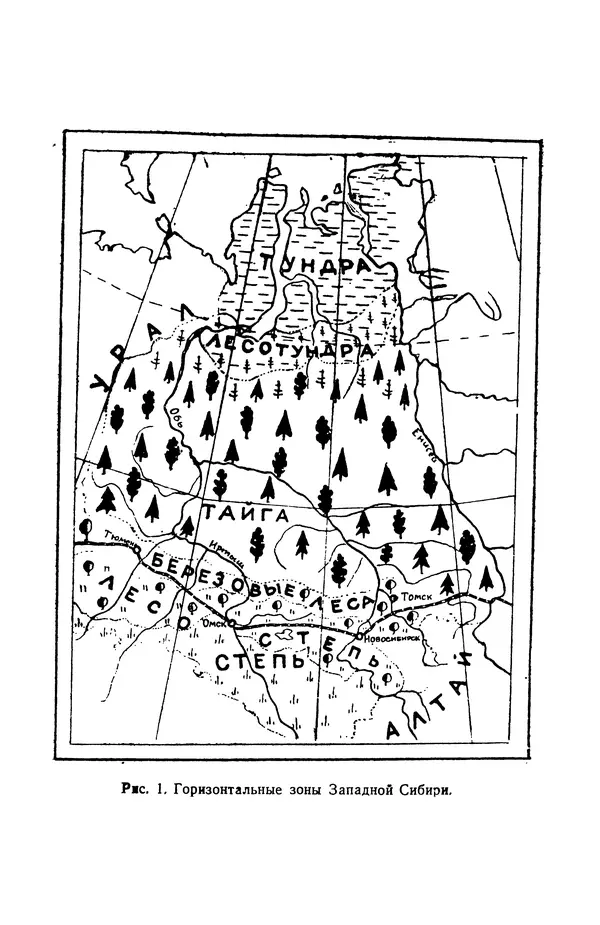 Людмила Шумилова - Ботаническая география Сибири - Страница № 11