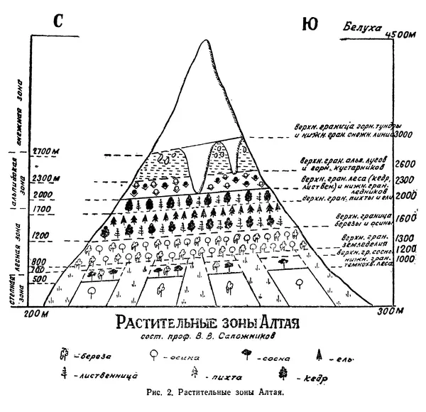 Людмила Шумилова - Ботаническая география Сибири - Страница № 12