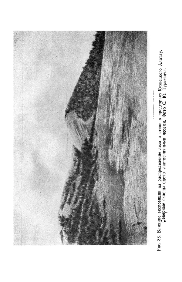 Людмила Шумилова - Ботаническая география Сибири - Страница № 146