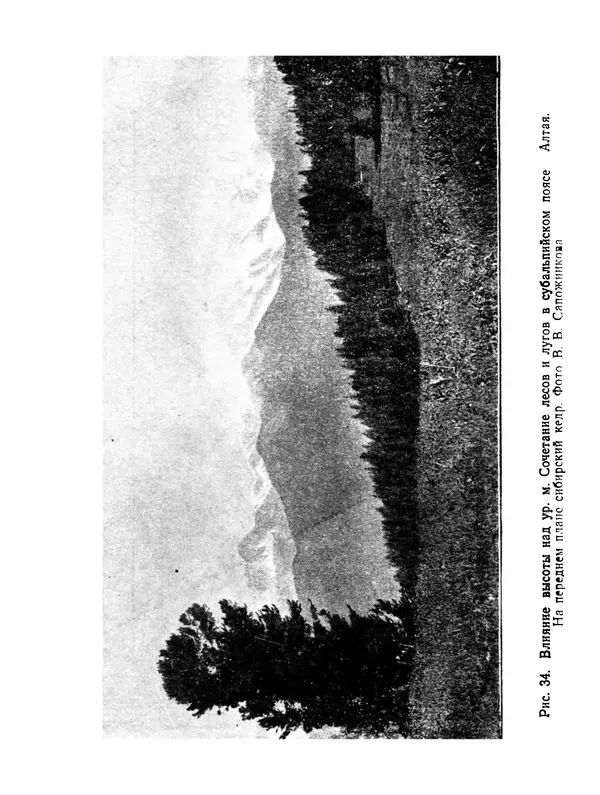 Людмила Шумилова - Ботаническая география Сибири - Страница № 147