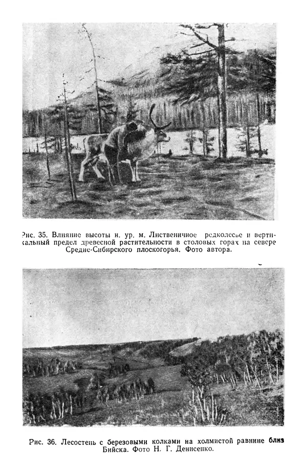 Людмила Шумилова - Ботаническая география Сибири - Страница № 148