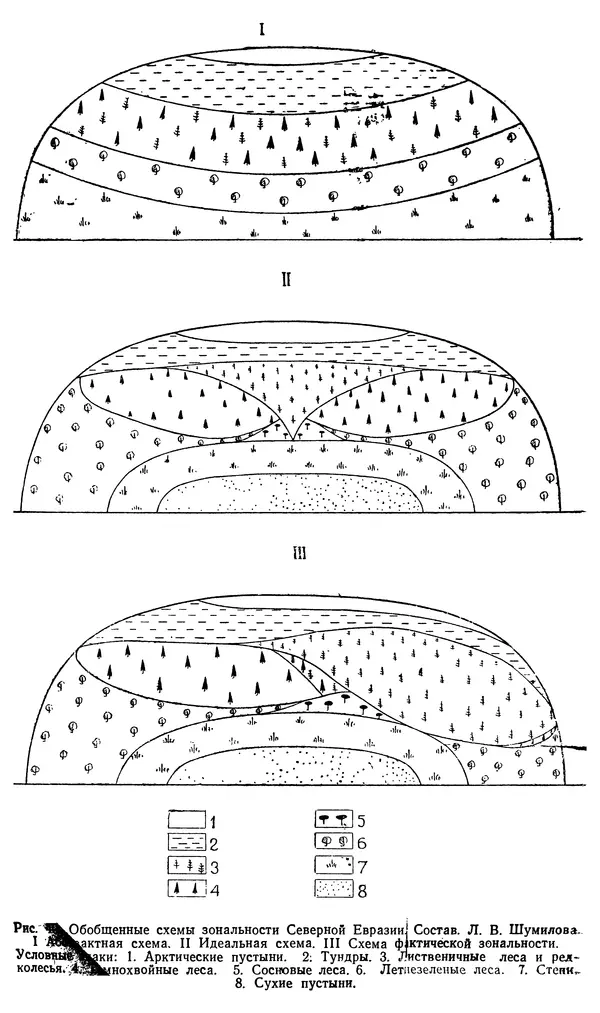 Людмила Шумилова - Ботаническая география Сибири - Страница № 170